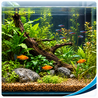aqua-farm.hu