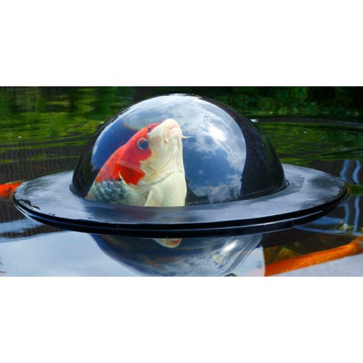 Úszó halmegfigyelő gömb (Koi-Dóm) D50 cm, Velda