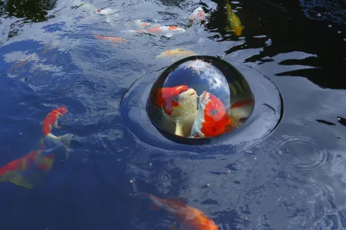 Úszó halmegfigyelő gömb (Koi-Dóm) D50 cm, Velda