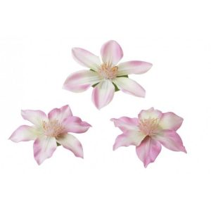 Dekor orchidea 7/9 cm rózsaszín Velda