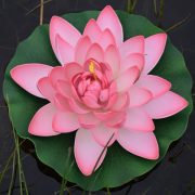 Tavirózsa, selyem, 28 cm, rózsaszín, Ubbink