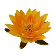 Tavirózsa, selyem, 16 cm, sárga, Ubbink