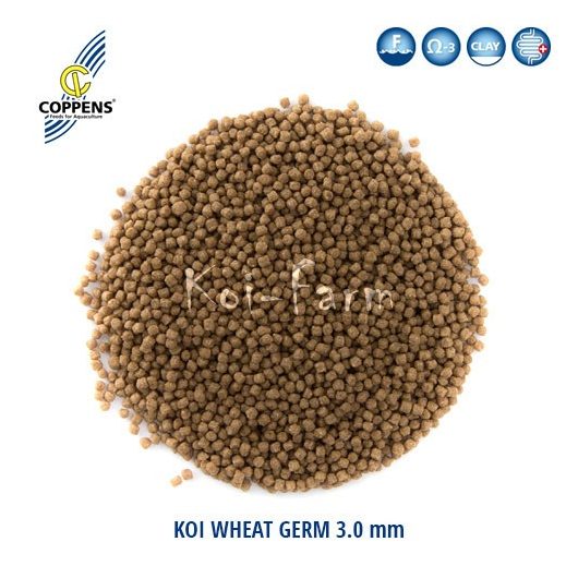 Coppens Wheat Germ 6.0 mm Koi eledel 15 kg