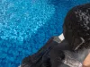 CGT AquaSense Signature Fidji French Coast 3D medencefólia - 1,8 mm, 1,65 m széles ár/m2