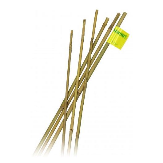 Bambusz rúd 10db 60cm natúr 6-8mm (Nature) KIFUTÓ TERMÉK - KÉSZLET EREJÉIG