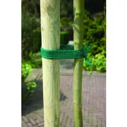 Fatörzs rögzítő 4cm x 2m