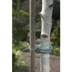 Lágy fatörzsrögzítő 30 cm  2x