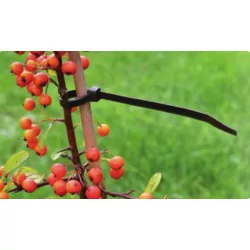 Rögzítő műanyag 30cm  25db-os szett fekete