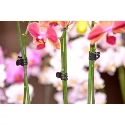 Orchidea rögzítő fekete 10db-os szett