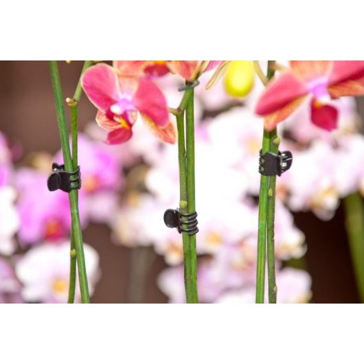 Orchidea rögzítő fekete 10db-os szett