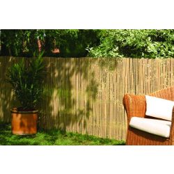 Bambusz térelválasztó 2x5méter