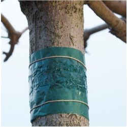 Rovarcsapda fatörzsre 150cm  5 m