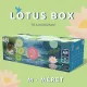 Lotus Box M 2,9 - 4,6 m3