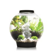 biOrb Classic akvárium 30 liter - LED - fekete - Thermo