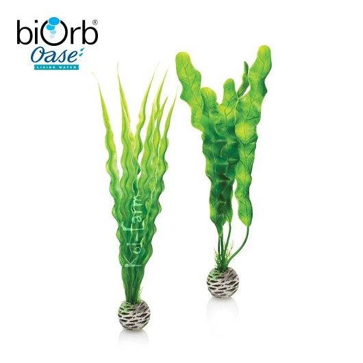 Vízinövény dekoráció – zöld – közepes – 2db – biOrb