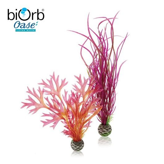 Vízinövény dekoráció – vörös/pink – közepes – 2db – biOrb