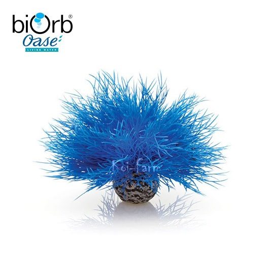 Tengeri liliom dekoráció – kék – 11 cm – biOrb