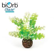 Tengeri alga dekoráció – 10 cm – biOrb