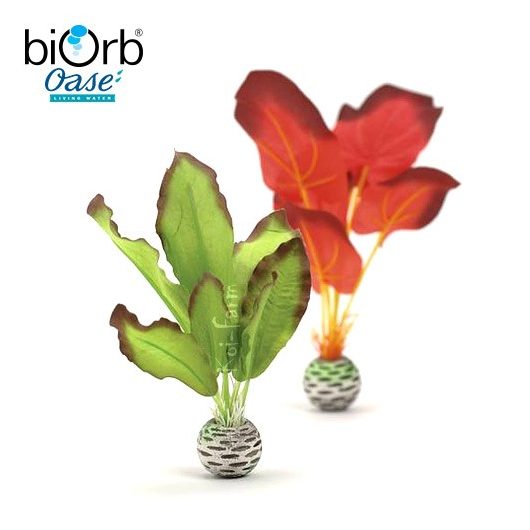 Vízinövény dekoráció – zöld/vörös – kicsi – biOrb