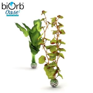 Vízinövény dekoráció – zöld – közepes – biOrb