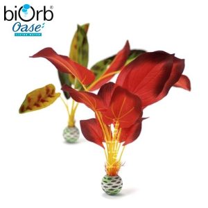 Vízinövény dekoráció – zöld/vörös – nagy – biOrb