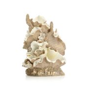 Kagylóhéj dekoráció – közepes – 18,8 cm – biOrb