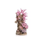   Korallzátony dekoráció – rózsaszín – 22,5 cm – biOrb