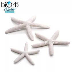 Tengeri csillag dekoráció – 3 db – fehér – biOrb