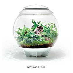 biOrb AIR 60 - Moss and Fern