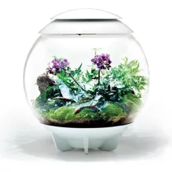 biOrb AIR 60 - Orchids