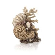 Biorb Coral-shells ornament natural