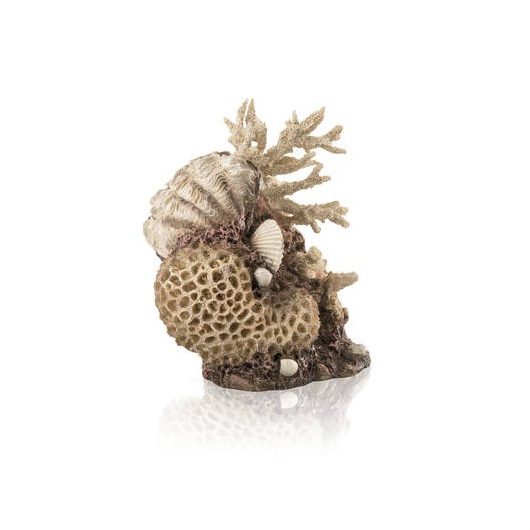 Biorb Coral-shells ornament natural
