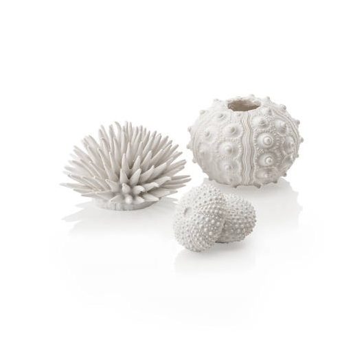 biOrb Sea urchins set white