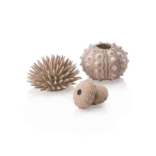 biOrb Sea urchins set natural