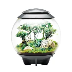 biOrb AIR 60 - Bonsai