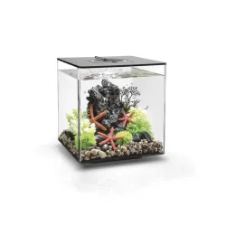 biOrb CUBE 30 Led akvárium fekete