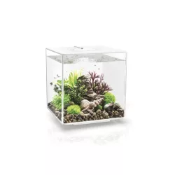 biOrb CUBE 30 LED fehér