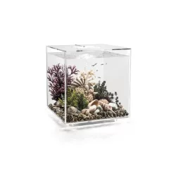 biorb CUBE 60 MCR átlátszó akvárium