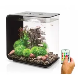 biOrb Flow 30 MCR fekete akvárium