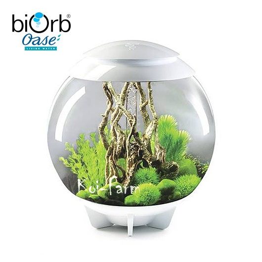 biOrb HALO 60 akvárium szett LED világítással - 60 liter - fehér - Moonlight