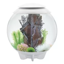 biOrb HALO 60 MCR fehér akvárium