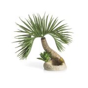 biOrb palm tree Seychelle S