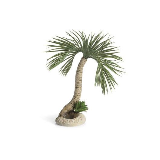 biOrb palm tree Seychelles L
