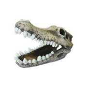 Akvarisztikai dekoráció krokodil koponya