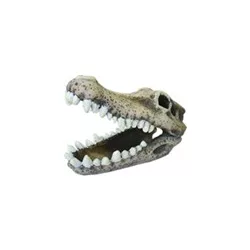 Akvarisztikai dekoráció krokodil koponya