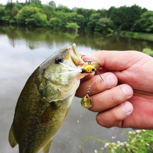 SPINNERBAIT TIEMCO NECROMANCER 6.5gr 45mm 01 Pearl Ayu