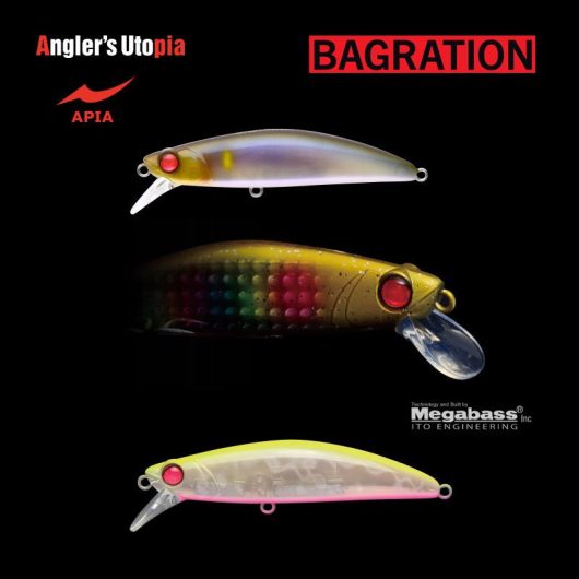 APIA BAGRATION 80 13gr 80mm 03 Chart Back Peach