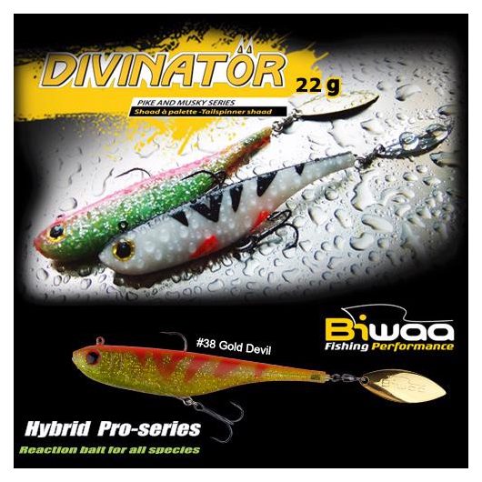 DIVINATOR MEDIUM 18cm 35gr 49 Rainbow