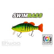 SWIMBASS 6" SLOW SINK 15cm 65gr 04 Fire Tiger