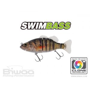 SWIMBASS 6" SLOW SINK 15cm 65gr 02 Real Perch